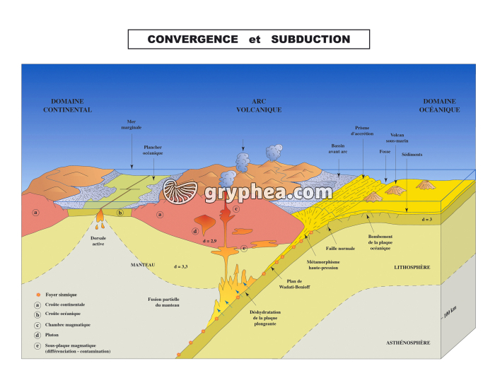 Subduction - Schéma annoté - gryphea.com